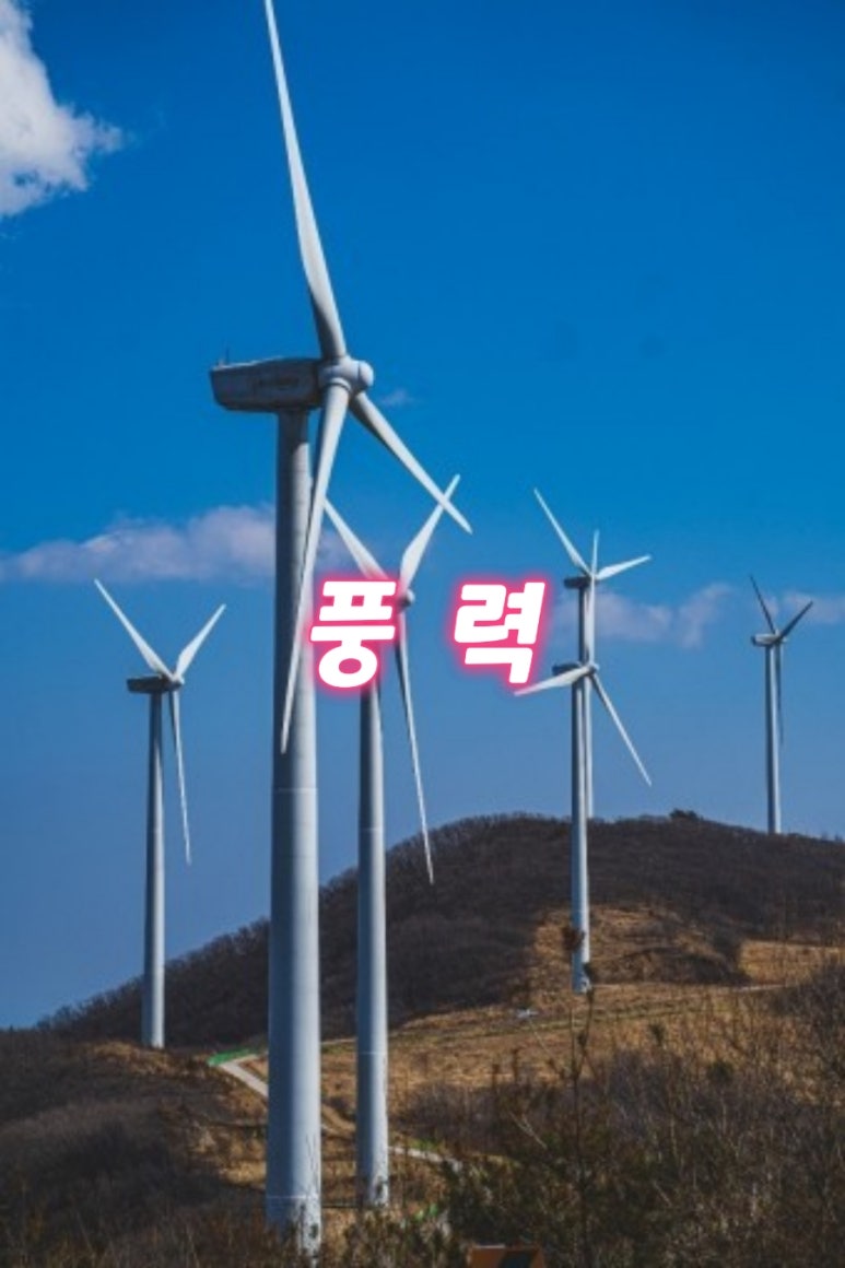신성루브 이미지