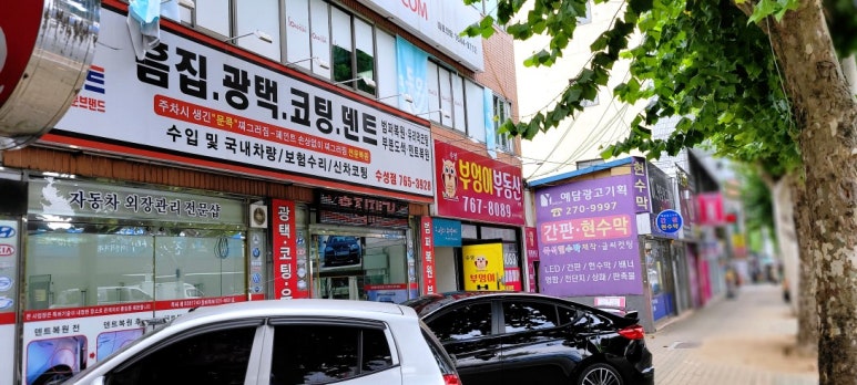 뉴월드덴트 이미지