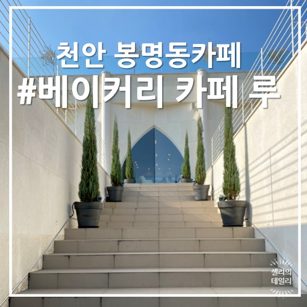 루셀리 이미지