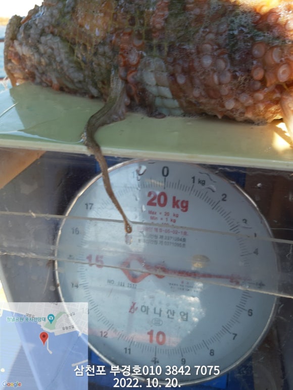 부경호 이미지