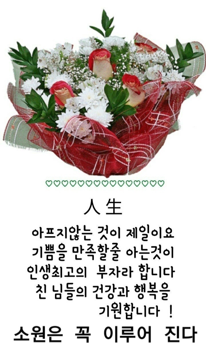 예스안과 이미지