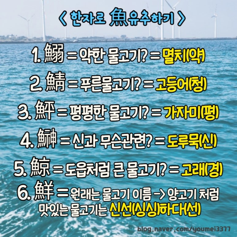 고등어청 이미지