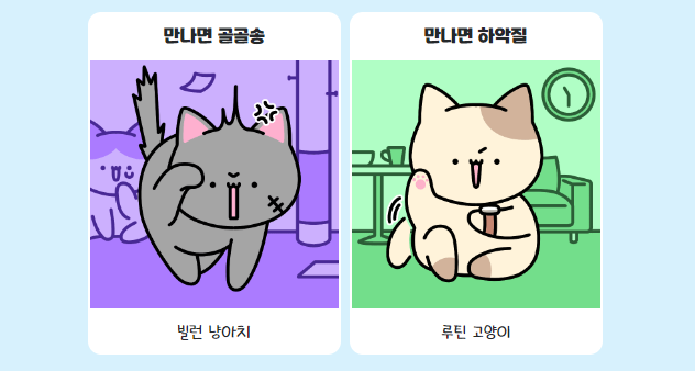 냥신사 이미지