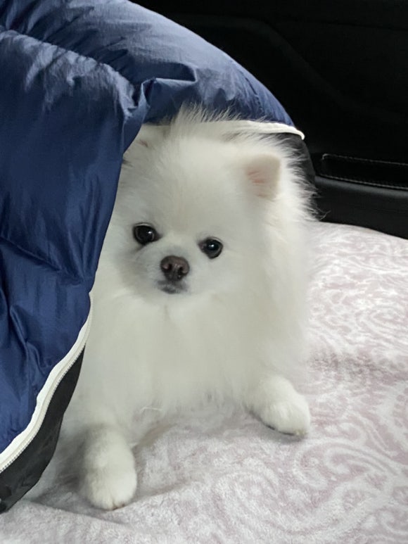 별빛하늘캠프닉 이미지