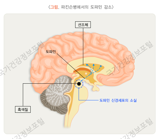 자애요양병원 이미지