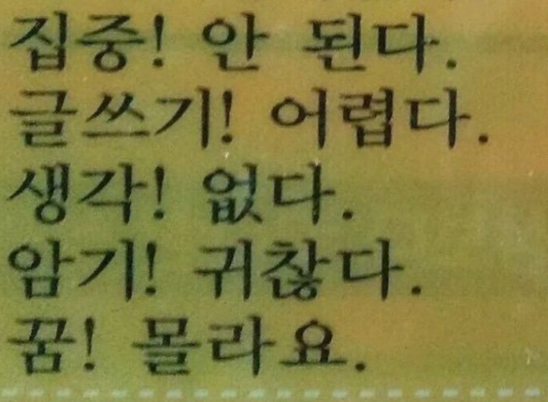 쭈미네 이미지