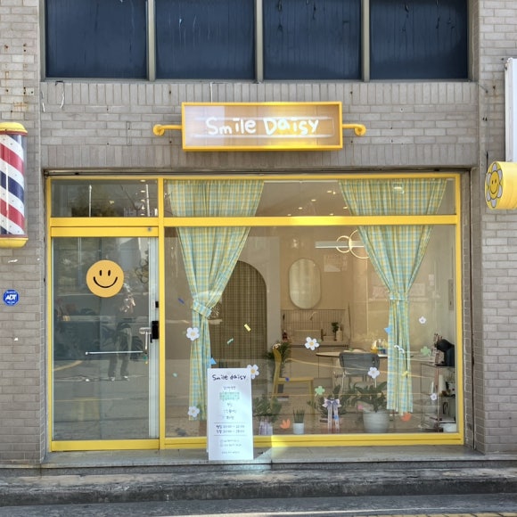 스마일데이지(Smile Daisy) 이미지
