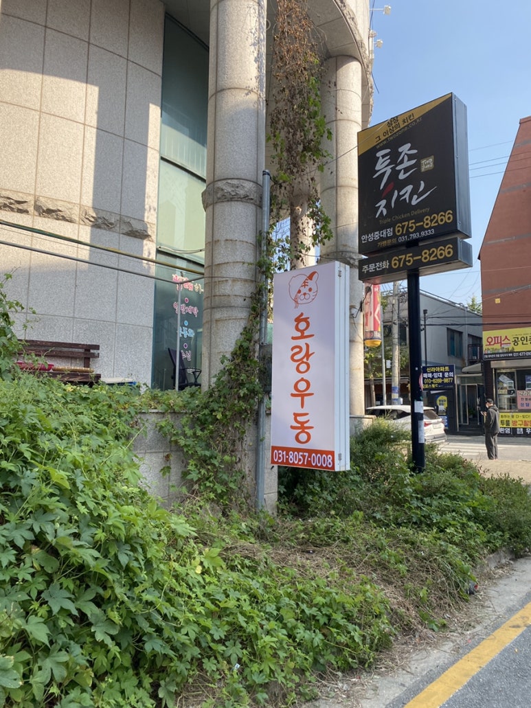 호랑우동 이미지