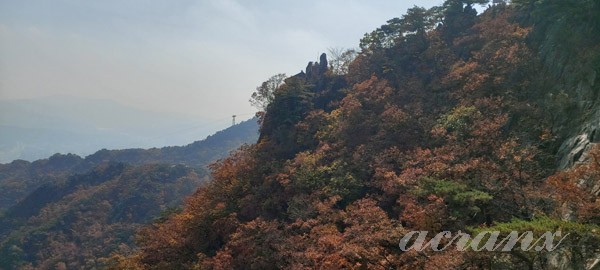 오늘의짐 이미지