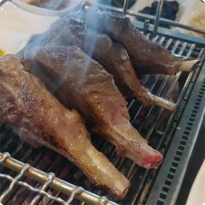 램플러스 이미지