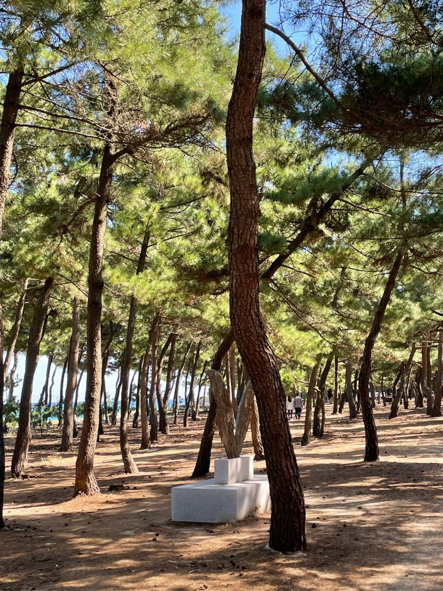 교산한과 이미지