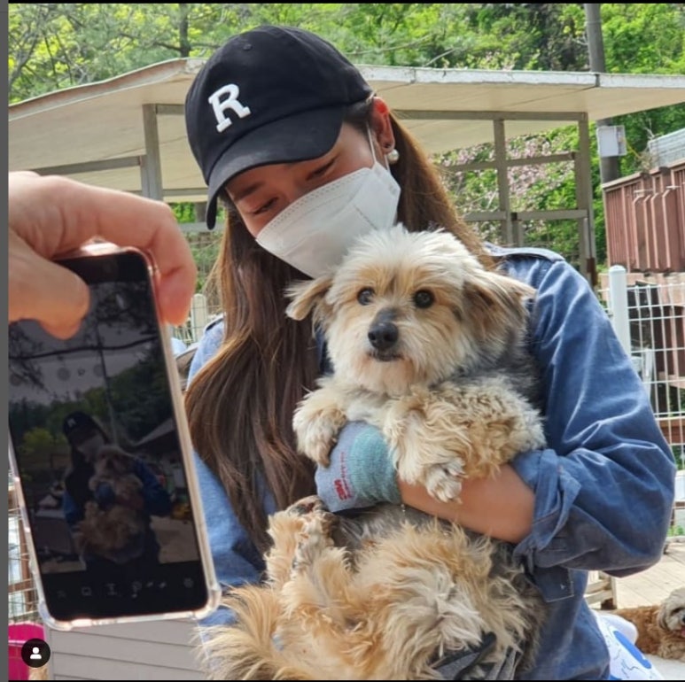 하림푸드 이미지