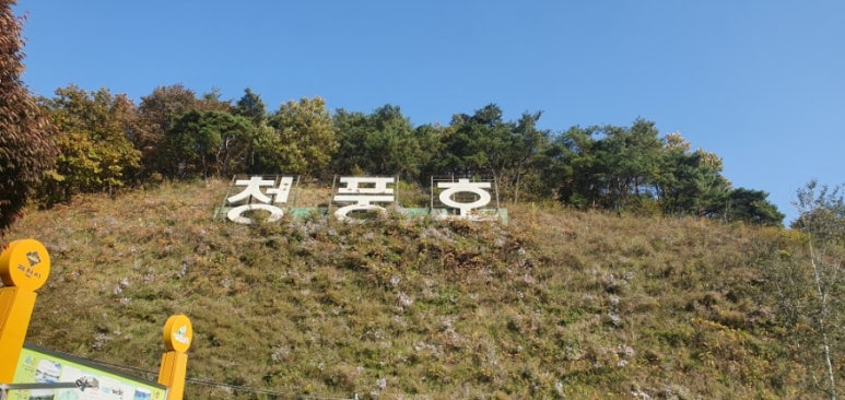 청풍안단테 이미지