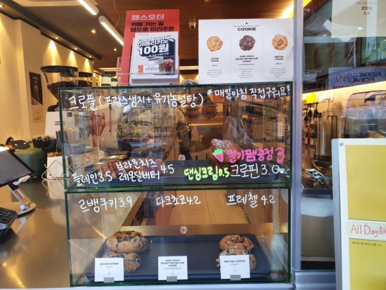 댄싱컵사상 이미지