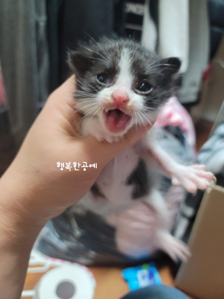 묘연공방 이미지