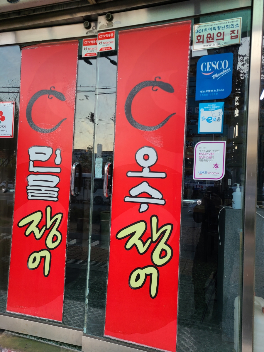 오수장어 이미지