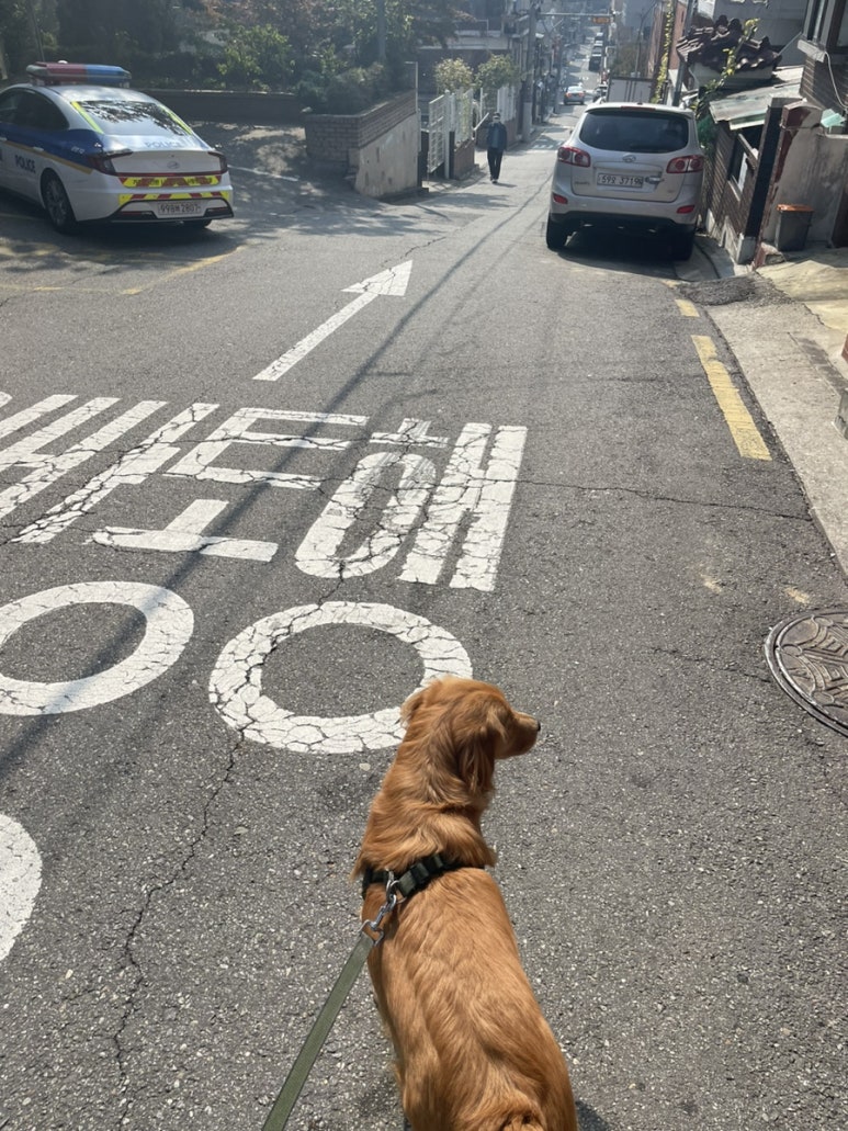 필그림인테리어 이미지
