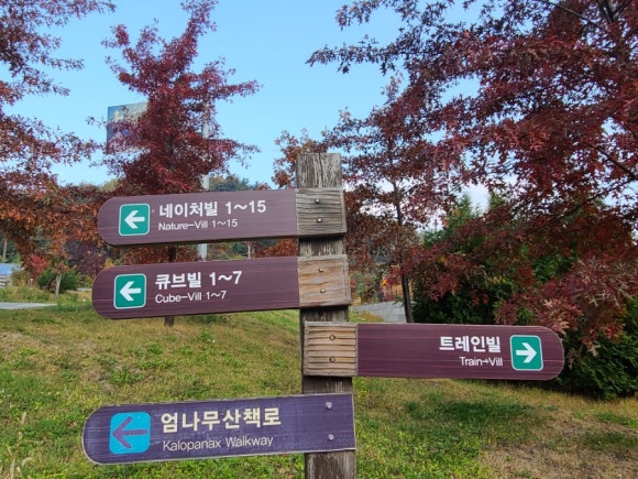 (주)하이원추추파크 이미지