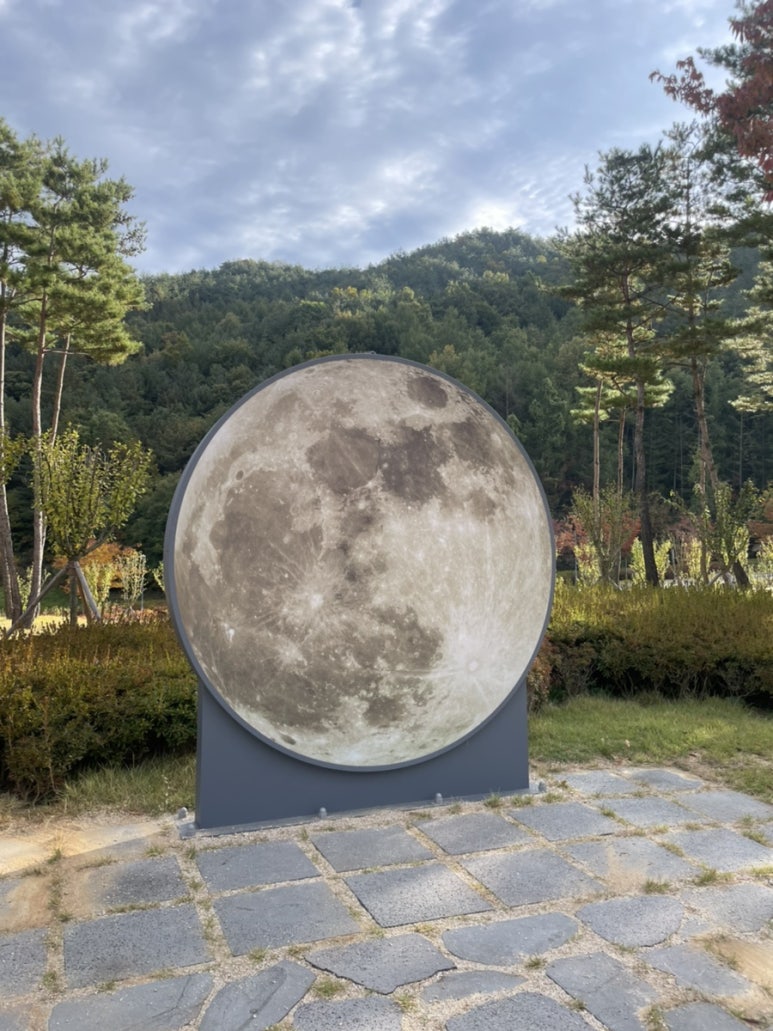 교촌치킨가호점 이미지