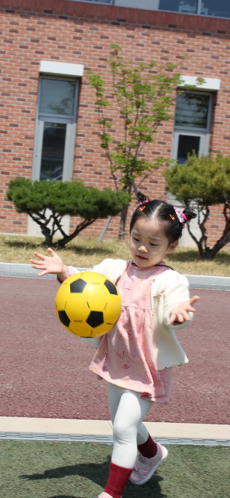 별빛소나타 이미지