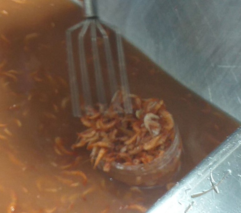 유진식품 이미지