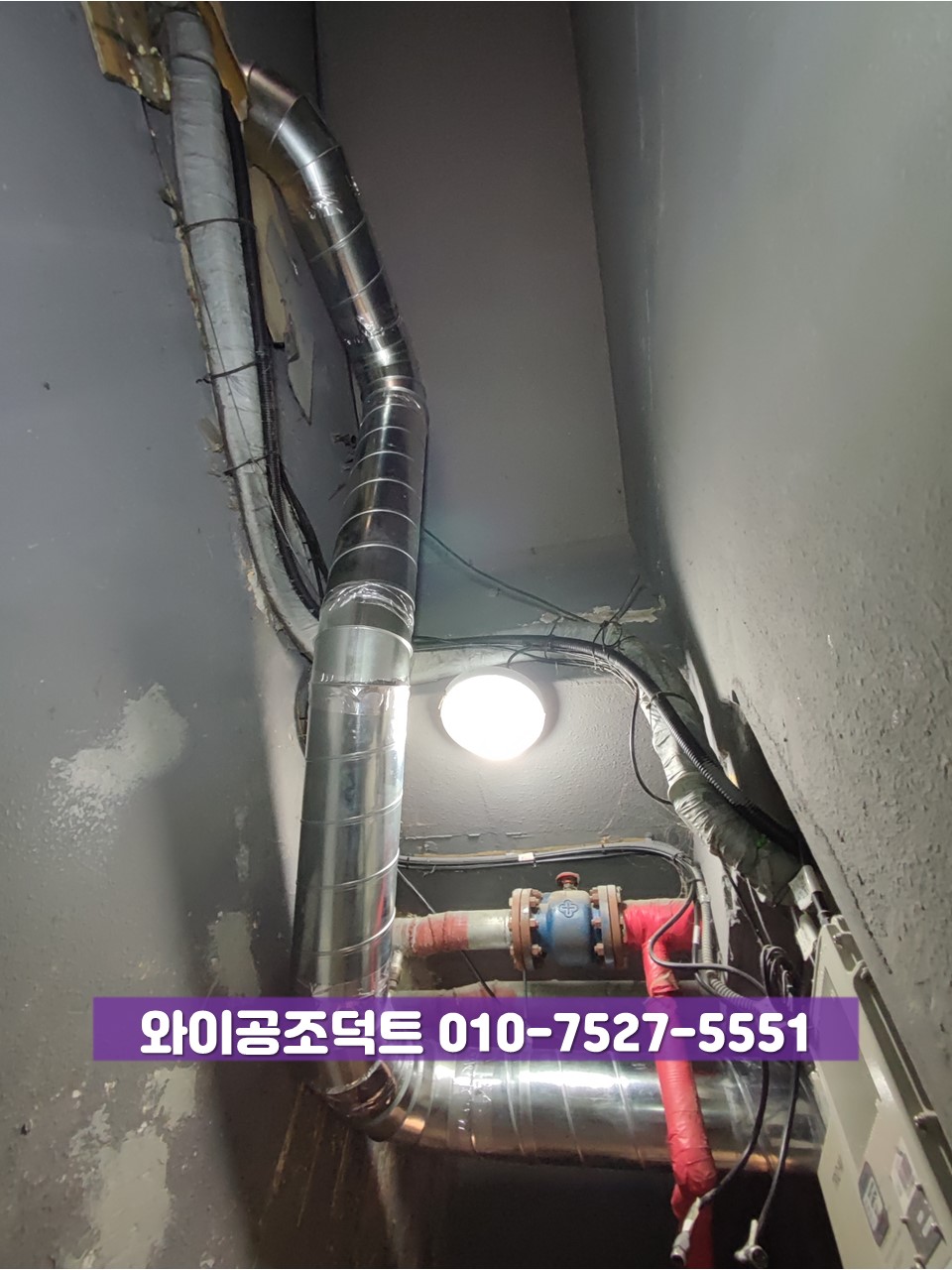 금천OA 이미지
