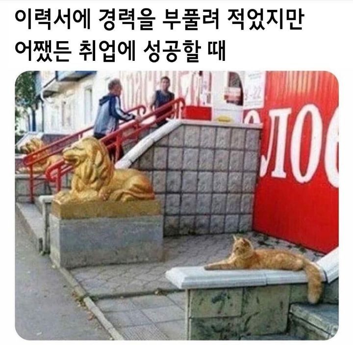 곱창다방 이미지