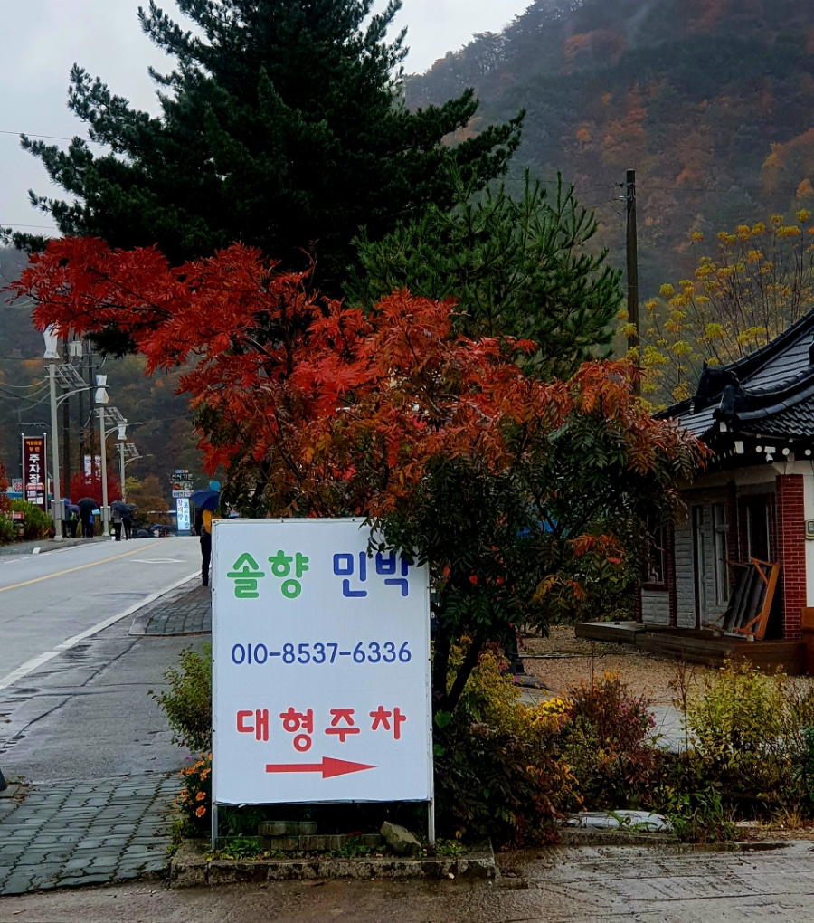 솔향민박 이미지