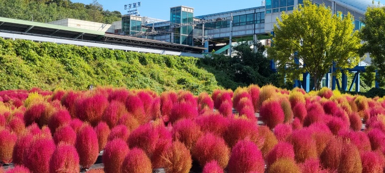 GO직업소개소 이미지
