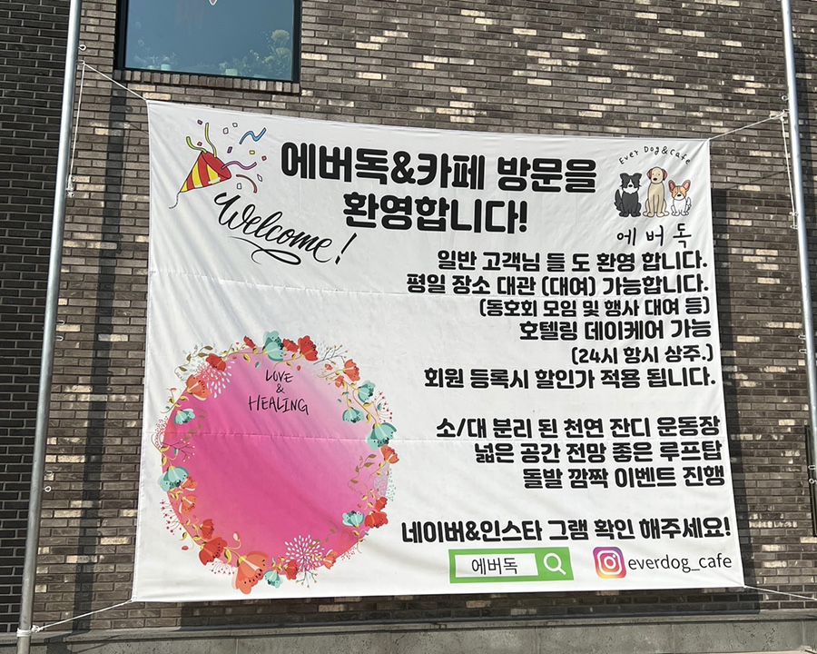 에버독 이미지
