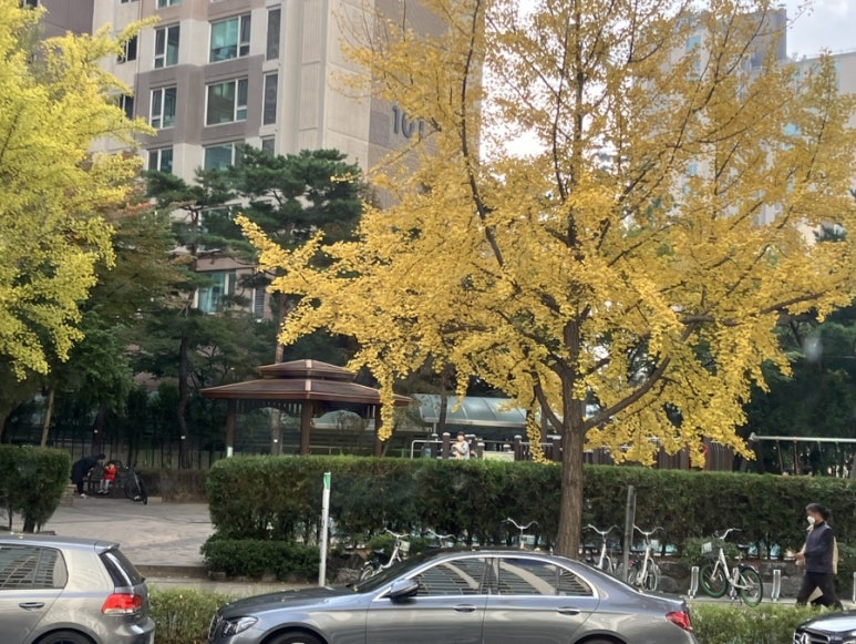 스타디움PC CAFE 이미지