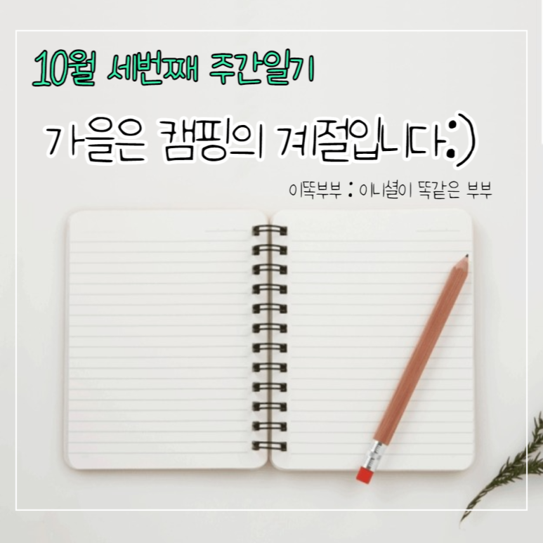 (주)푸름여행 이미지