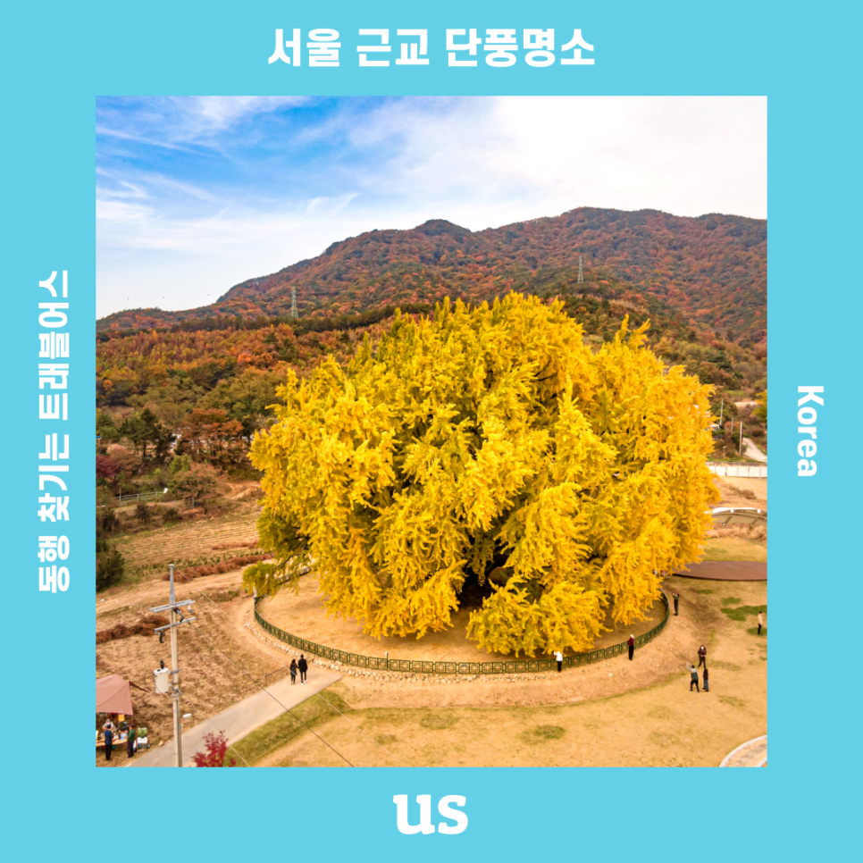 (주)트레블어스 이미지