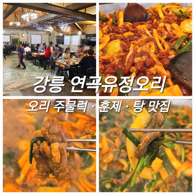 연곡유정오리 이미지
