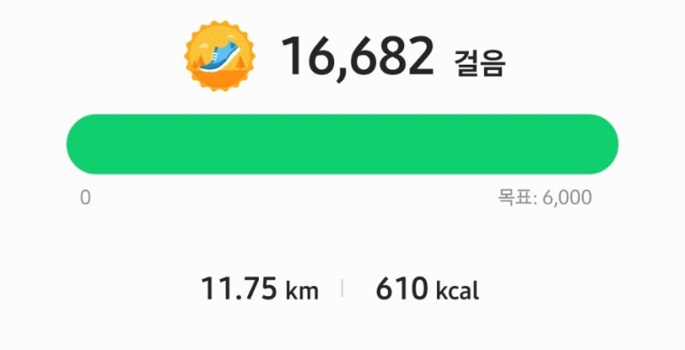 이월로스터스 이미지
