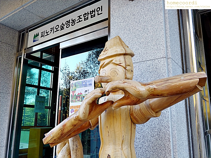 피노키오 유아숲체험원 이미지