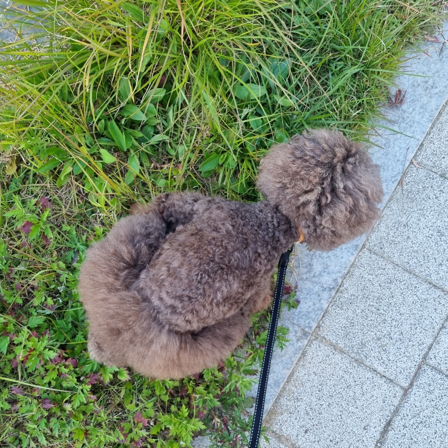 고야김밥 이미지