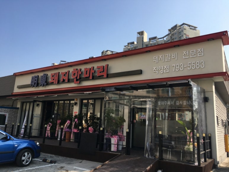 돼지한마리 이미지