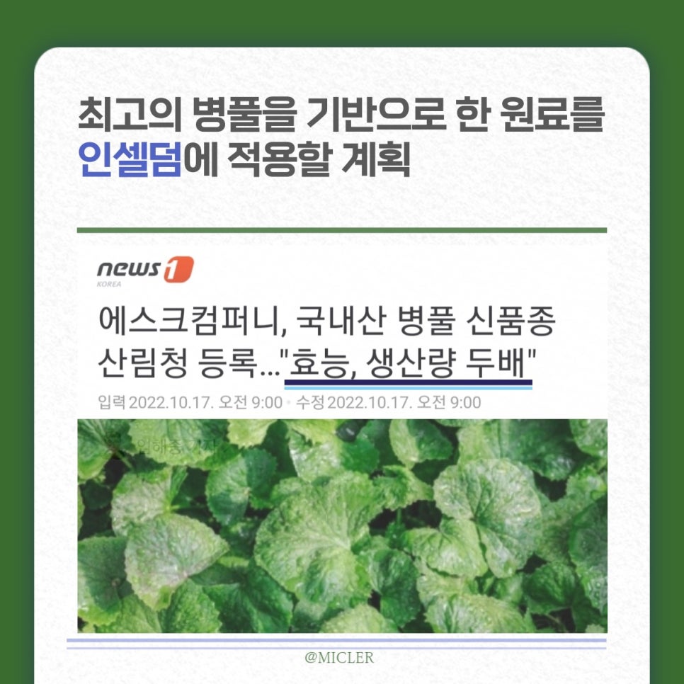자이언트컴퍼니 이미지