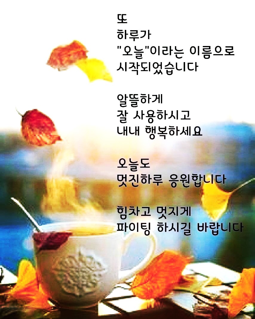 빛가람타이어 이미지