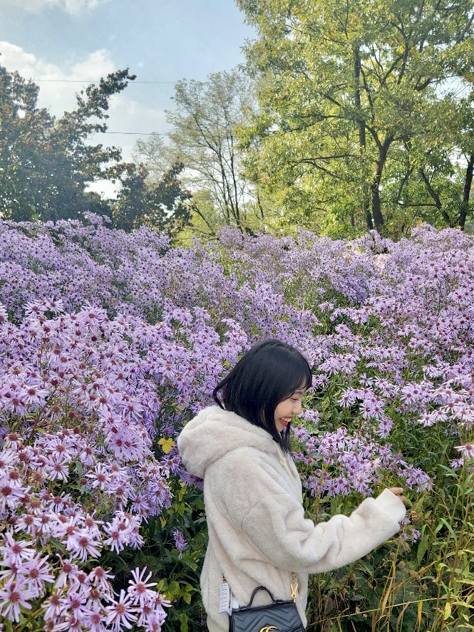 핑크노래연습장 이미지