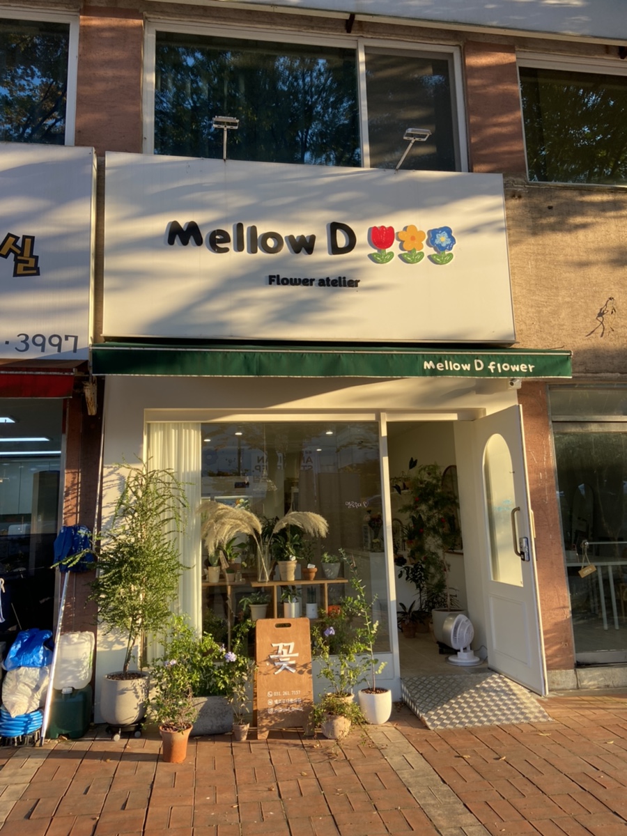 멜로우디플라워 이미지