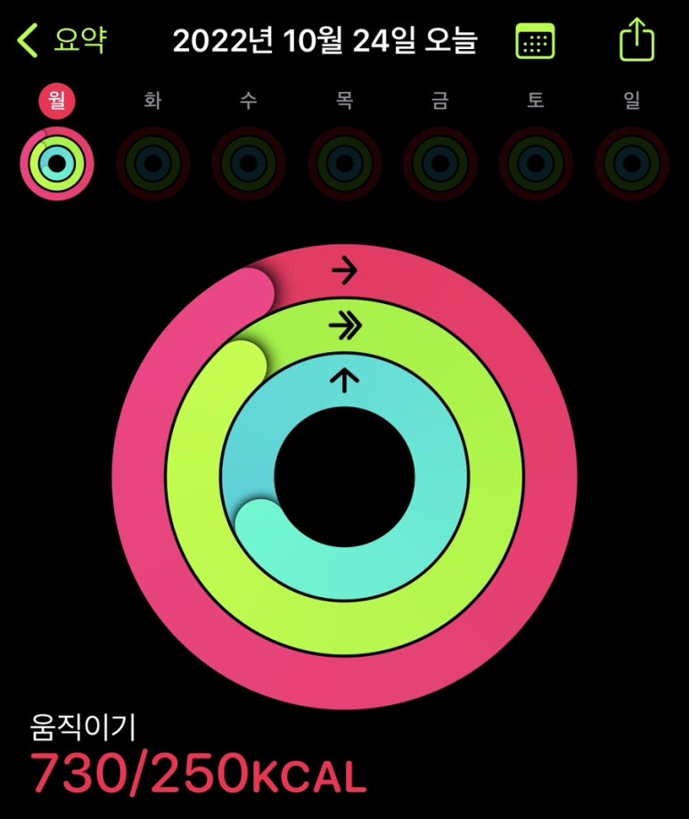 치킨에미치닭 이미지
