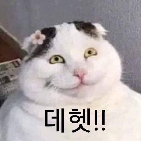 청춘테라스 이미지