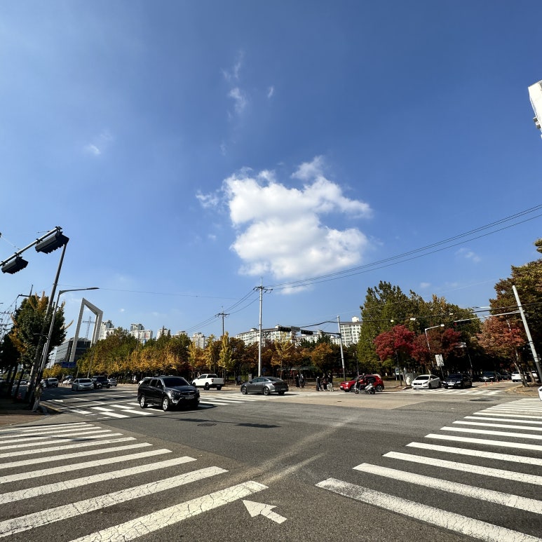 메아모스튜디오 이미지