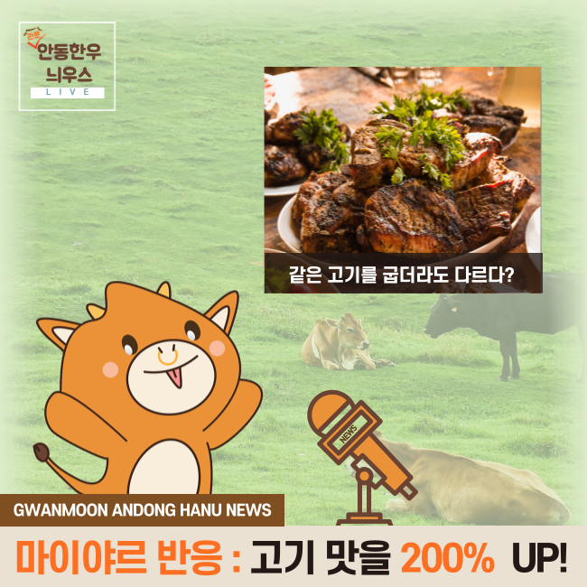 관문고기 이미지