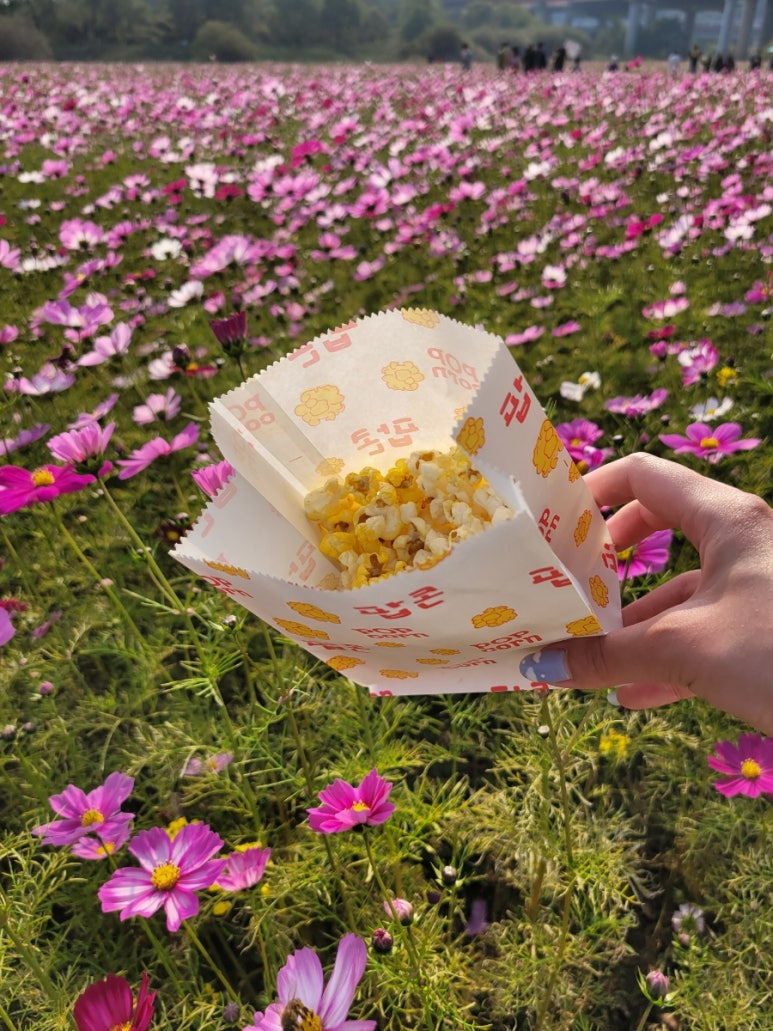 화전마을관리사회적협동조합 이미지