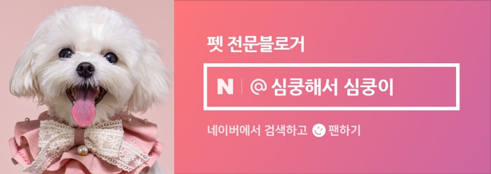 달곰과자집 진접 레터링케이크 이미지