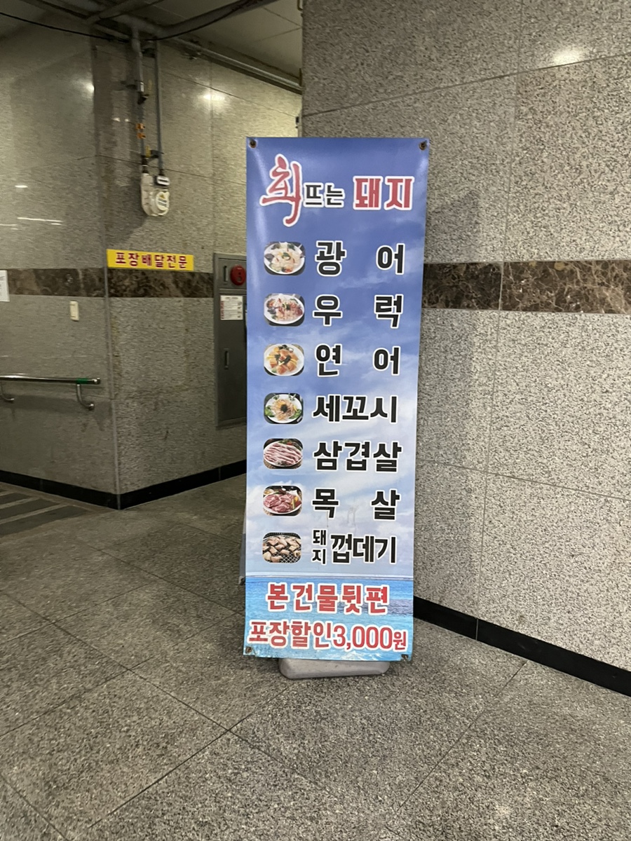 회뜨는돼지 이미지