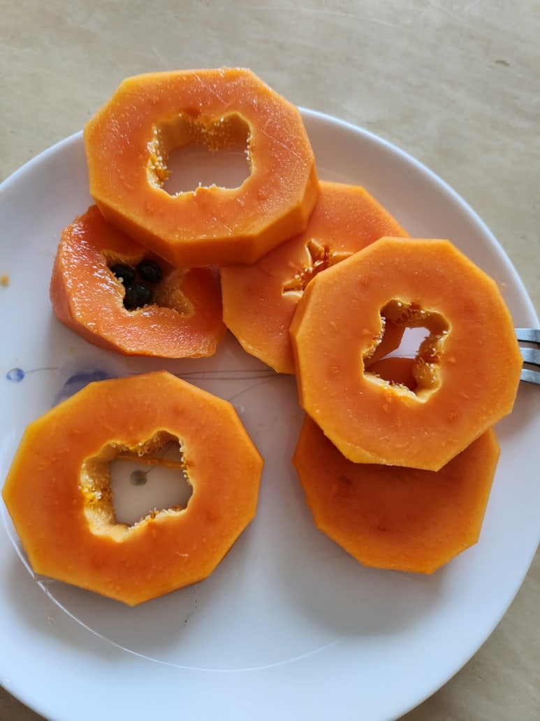 오행팜연수원 이미지